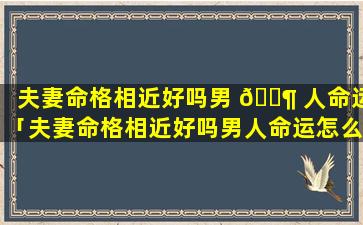夫妻命格相近好吗男 🐶 人命运「夫妻命格相近好吗男人命运怎么样」